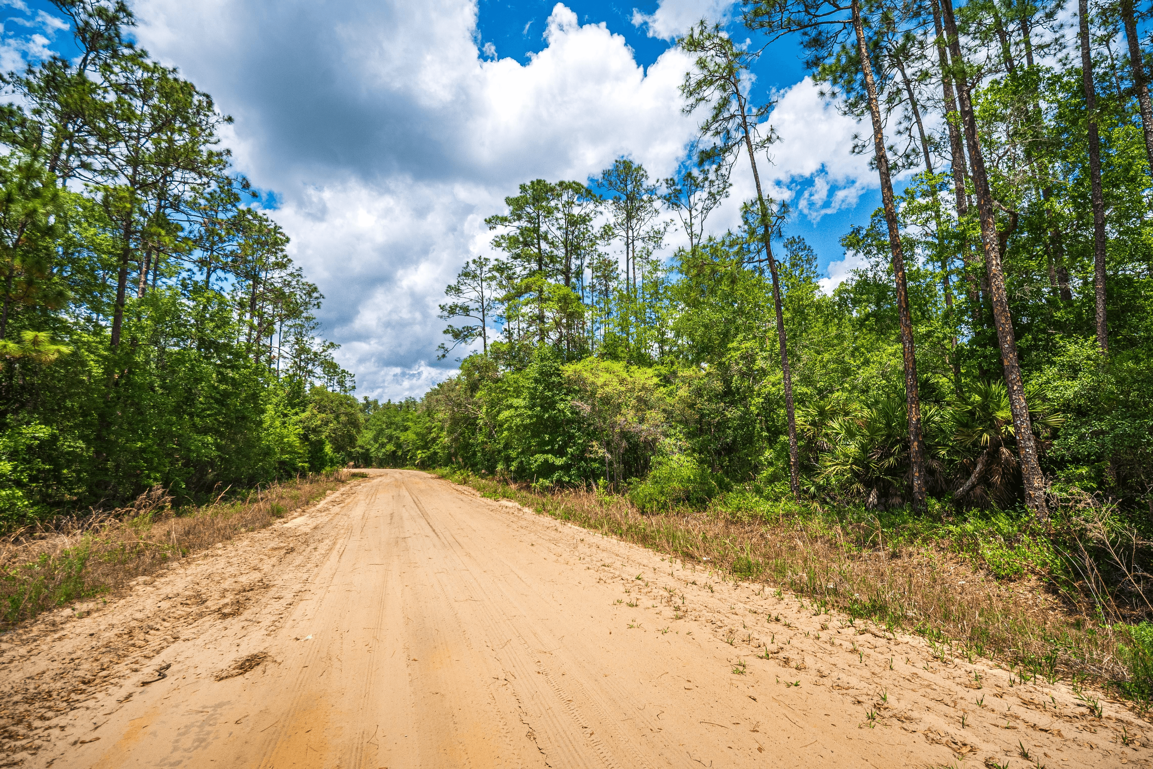 Beautiful Florida land for sale